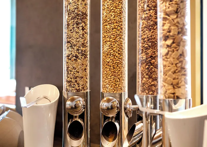 酒店 斯拉德明优法酒店 3*